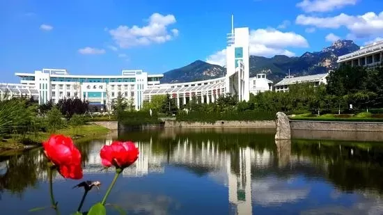 泰山职业技术学院是本科还是专科？权威解读：深耕职业教育的高等学府