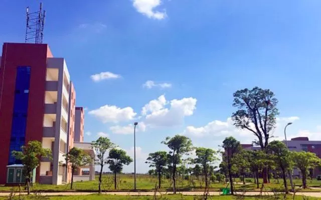 洪州职业学院是公办的还是民办的？深度解析办学性质与发展前景