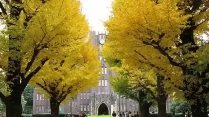 东京大学相当于中国什么档次？本质属于顶尖985梯队