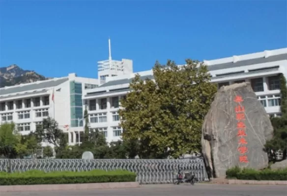 山东省泰安技术学院是本科还是专科？职业教育新标杆的实践密码