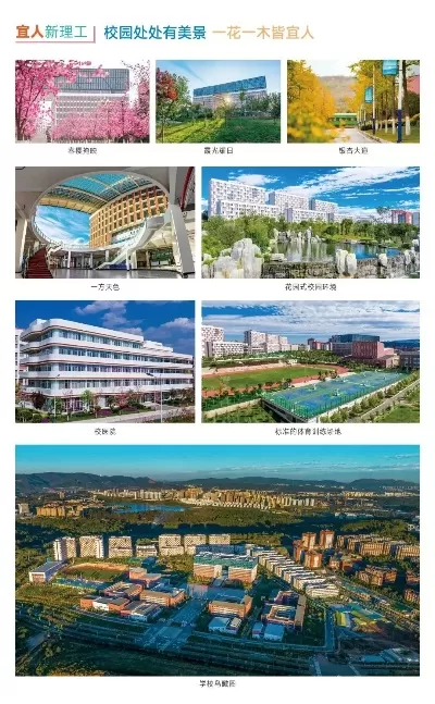 云南理工职业学院官网有哪些内容？全方位解读学院数字化平台