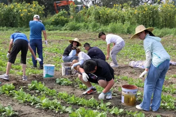 新时代大学生为何需要劳动教育？本质是培养全面发展的人才