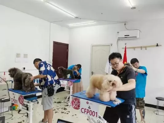 宠物专业的大专学校是什么？本质是培养宠物产业技术人才的职业教育基地