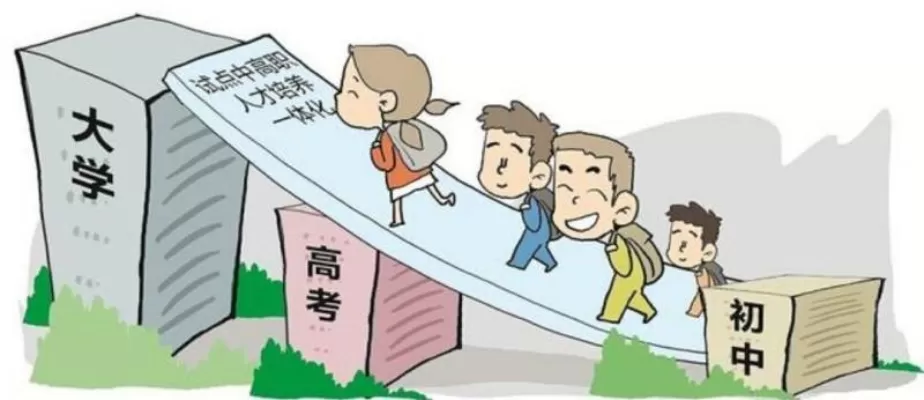 大专和大学有什么区别？本质是两类教育路径的战略选择