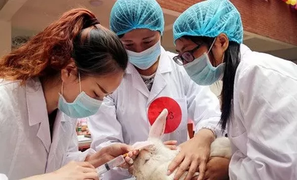 动物医学是天坑专业吗？本质属于前景广阔的特色专业