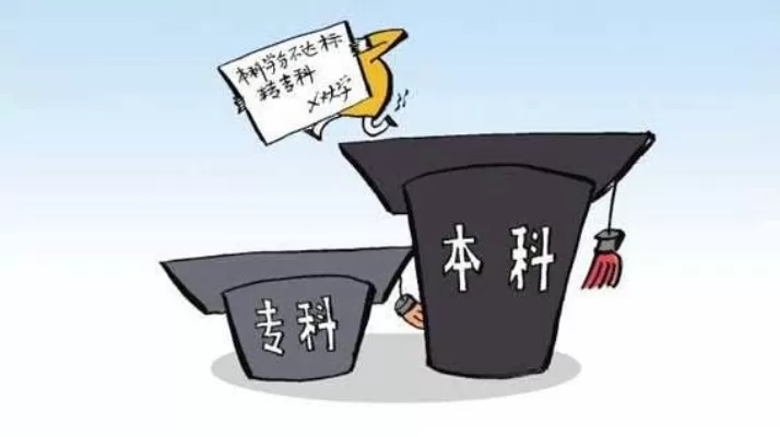 大专和本科的区别是什么？本质是两类教育体系的分野