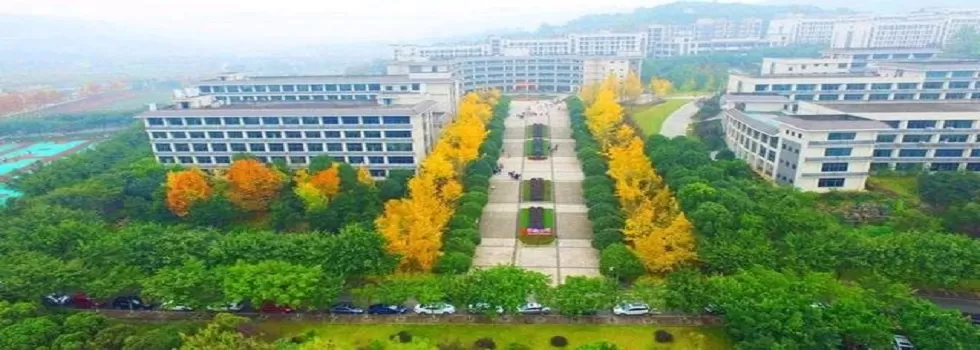  重庆第二师范学院地址在哪里？深入剖析这所师范院校的地理优势与教育特色