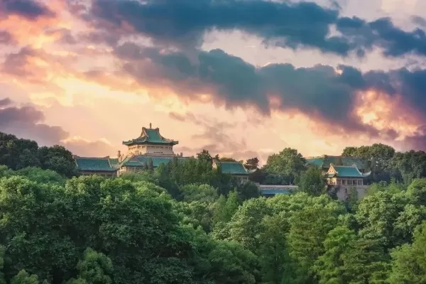  武汉大学招生办电话：如何高效沟通与避免陷阱？