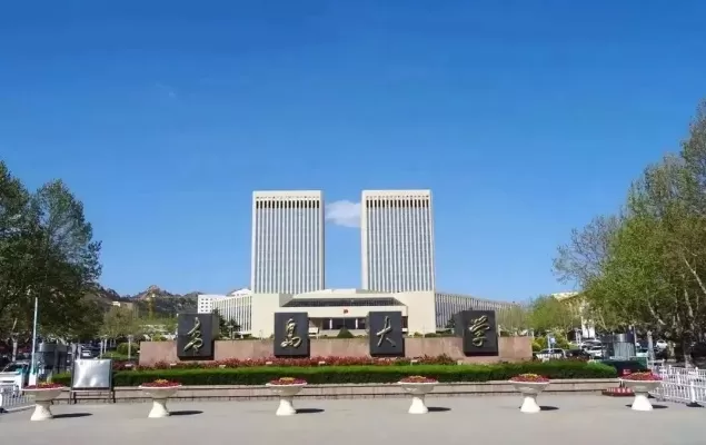 青岛大学研究生招生常见问题解析：全方位指南与政策详解