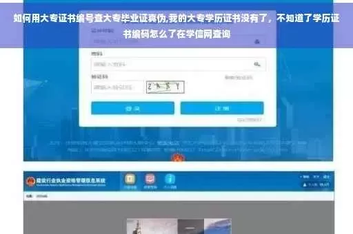  大专毕业证编号怎么查？最全查询攻略在这里