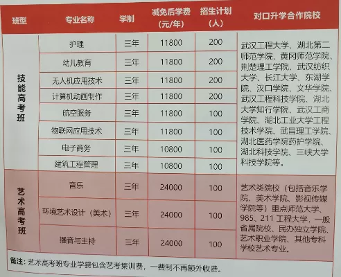武汉长江艺术职业学院是本科还是专科？解析其“艺术职业教育的差异化发展之路”