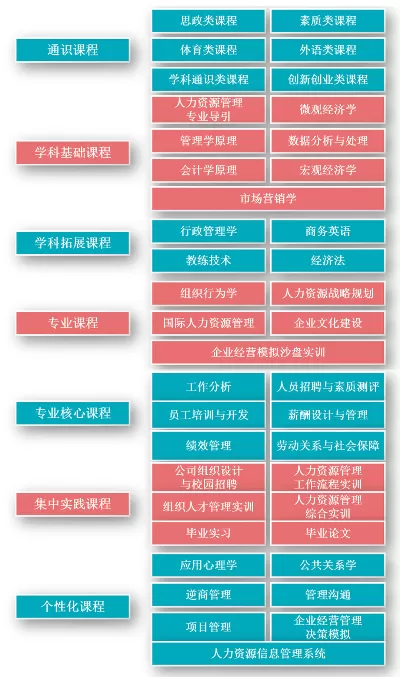 人力资源管理学什么专业课程？解析核心课程体系与职场应用