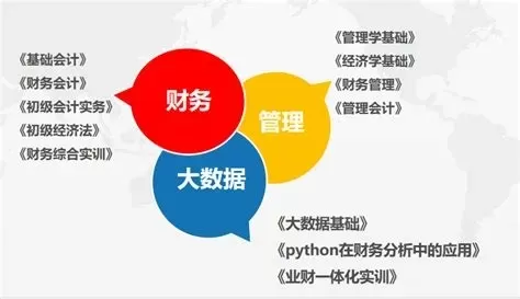  大数据与会计专业主要学什么？课程体系与能力要求全解析