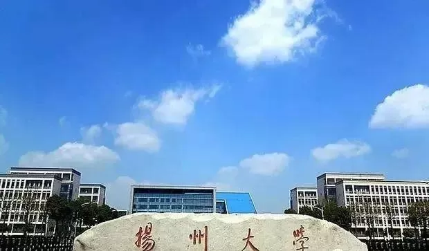 扬州大学江苏排名多少位？多维度透视省属高校的卓越地位