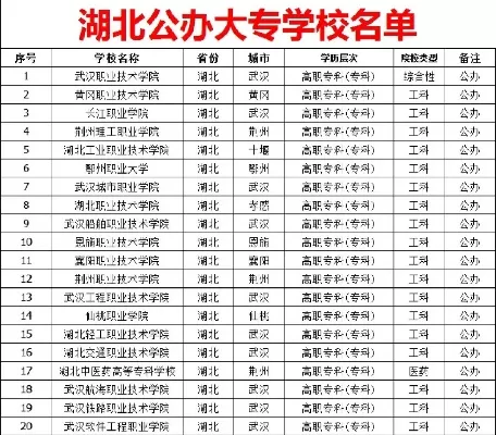 湖北有哪些公办大专院校？全面解析与完整名录