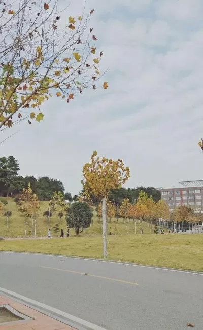 信阳学院占地面积多少亩？深度剖析两校区规划与资源分布