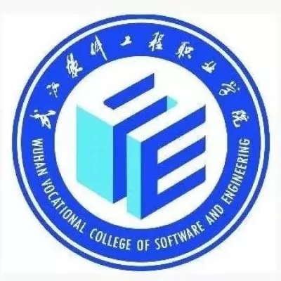 武汉软件工程职业技术学院代码是什么？本质为教育部备案的唯一标识符