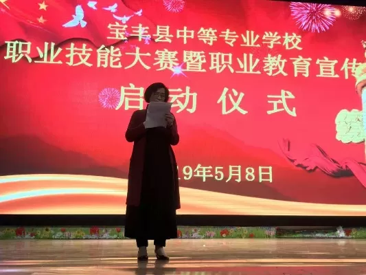 宝丰县中等专业学校是一所怎样的学校？它在职业教育中扮演什么角色？