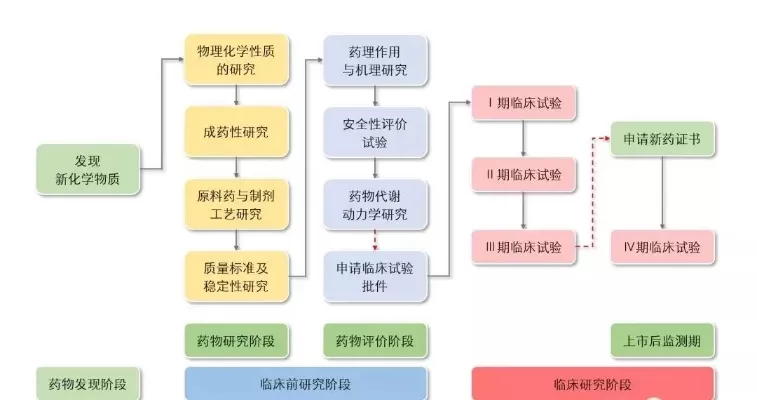  药剂学专业主要学什么？揭秘药物研发到临床应用的完整知识体系