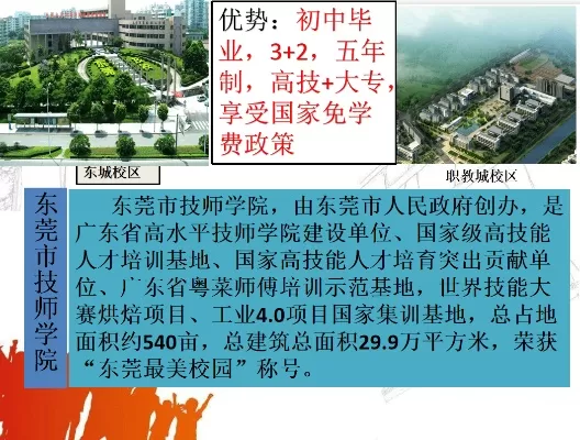 东莞有哪些大专学校？深入剖析四所专科院校的特色优势