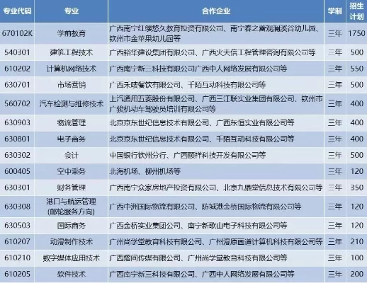  广西英华国际职业学院学费一年多少钱？深入剖析收费标准与缴费策略