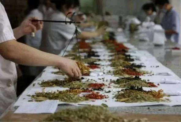 中药学是冷门专业吗？专业特性与就业前景全解析